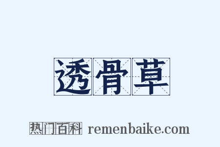 透骨草是什么意思的图片